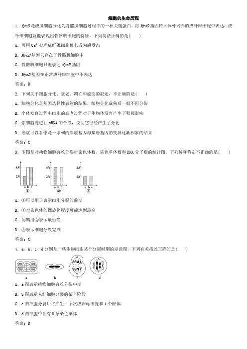 高考生物专题专练：细胞的生命历程有答案