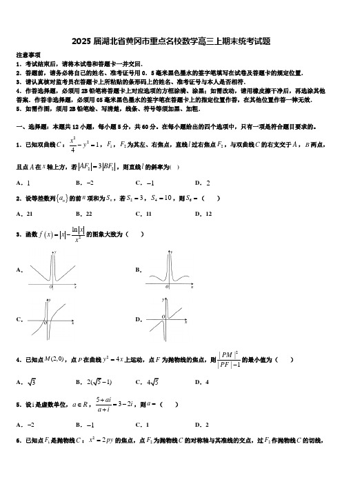 2025届湖北省黄冈市重点名校数学高三上期末统考试题含解析