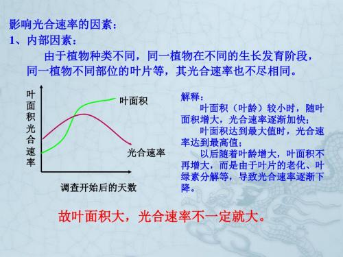 影响光合速率的因素