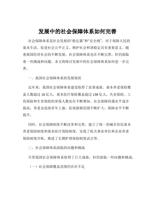 发展中的社会保障体系如何完善