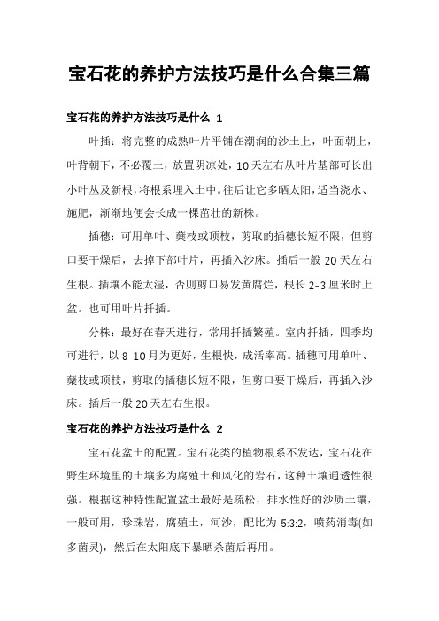 宝石花的养护方法技巧是什么合集三篇