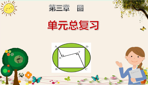 《圆单元总复习》人教版九年级数学(下册)