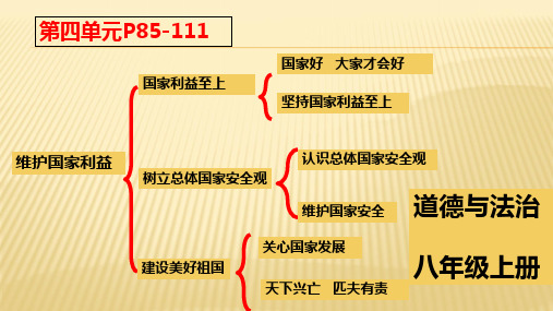 第四单元 维护国家利益 复习ppt（11张ppt）