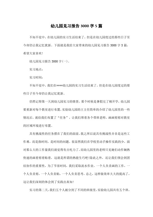 幼儿园见习报告3000字5篇