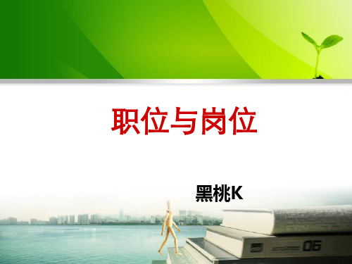 电子商务职业与岗位.PPT