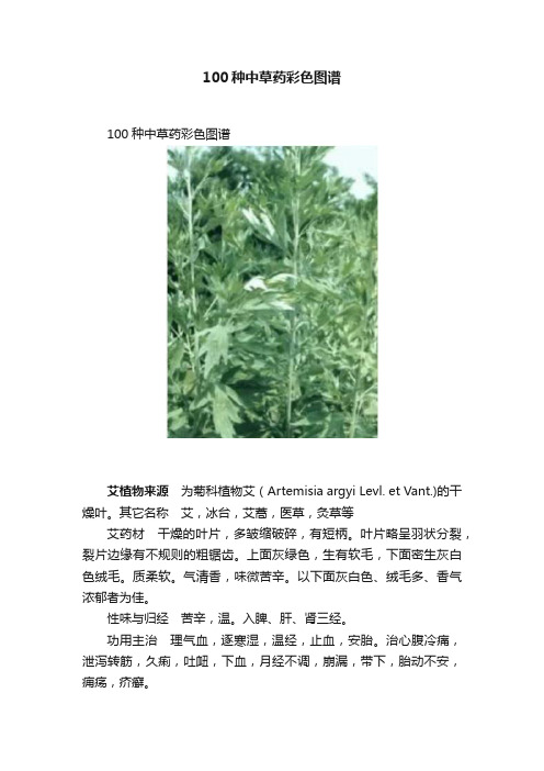 100种中草药彩色图谱