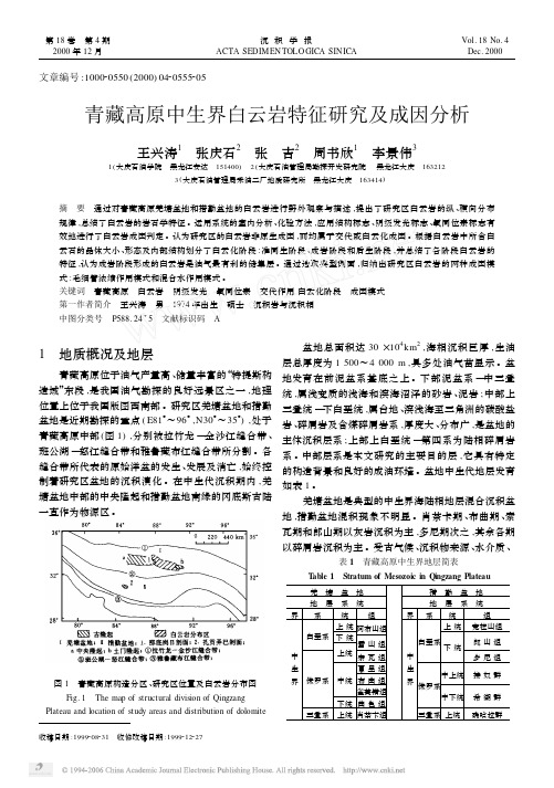 青藏高原中生界白云岩特征研究及成因分析