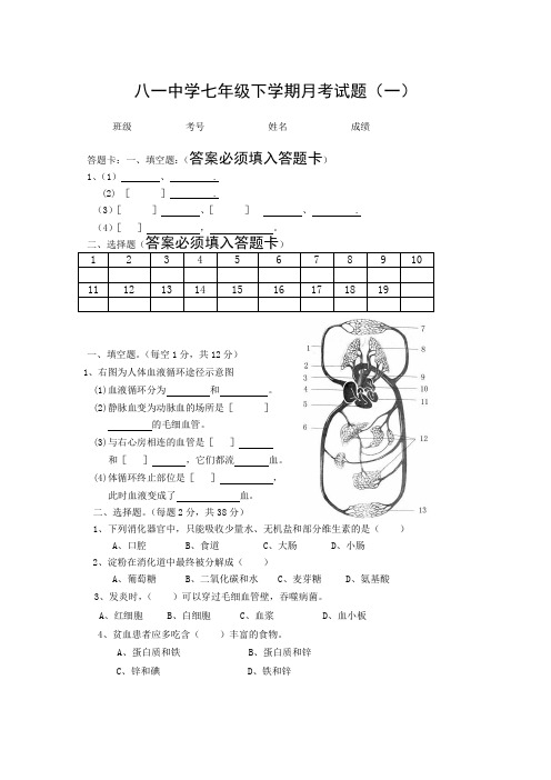 八一中学七年级下学期月考试题