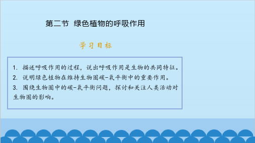 绿色植物的呼吸作用课件人教版生物七年级上册