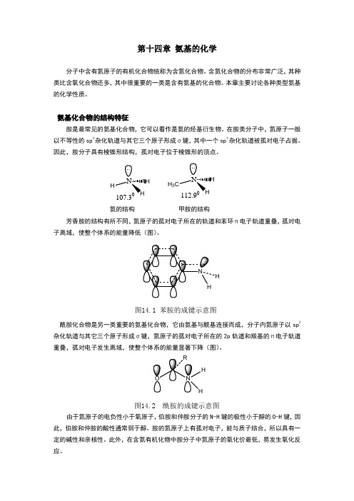 氨基的化学