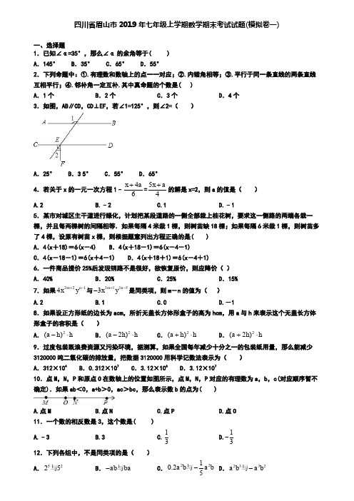 四川省眉山市2019年七年级上学期数学期末考试试题(模拟卷一)