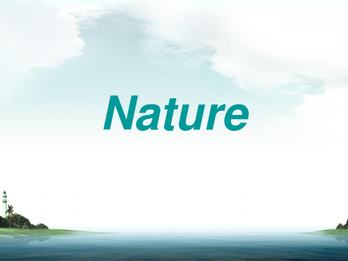 nature自然