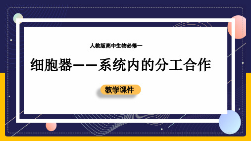 高中生物人教版必修一《细胞器系统内的分工合作》教学课件