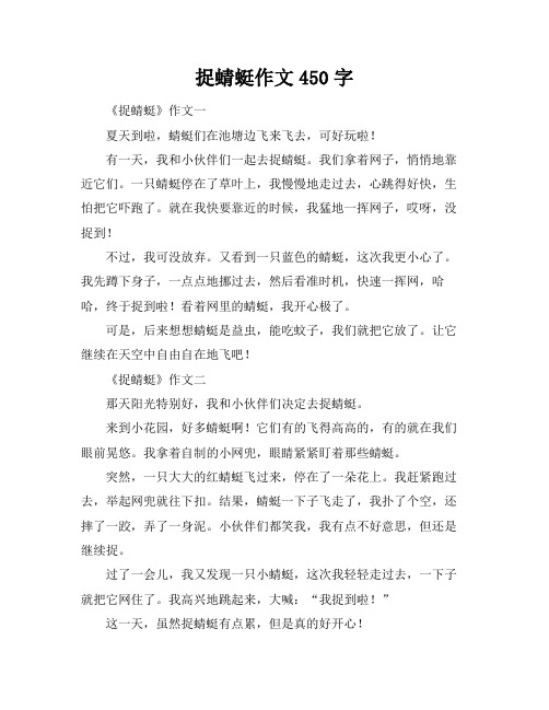 捉蜻蜓作文450字