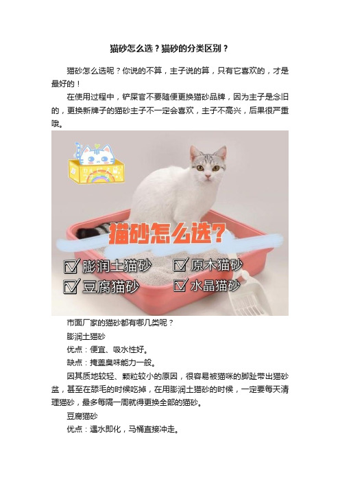 猫砂怎么选？猫砂的分类区别？