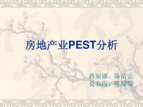 房地产业PEST分析