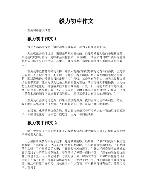 毅力初中作文