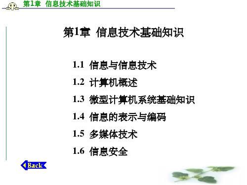 信息技术基础知识ppt课件