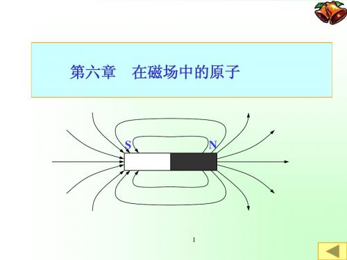 原子物理学第六章