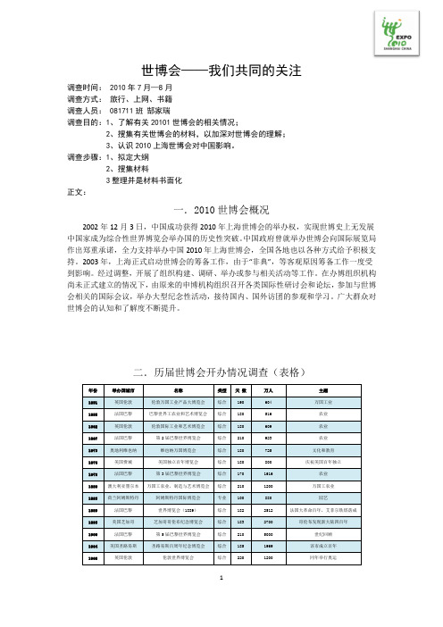 2010上海世博会调查报告