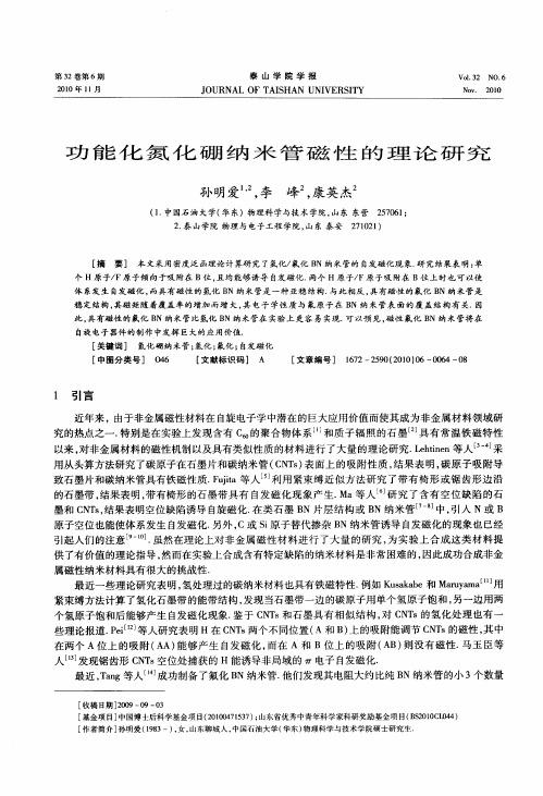 功能化氮化硼纳米管磁性的理论研究