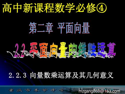 2.2.3向量数乘运算及其几何意义