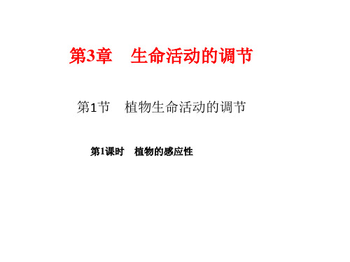 新浙教版科学八年级上册课件：植物的感应性