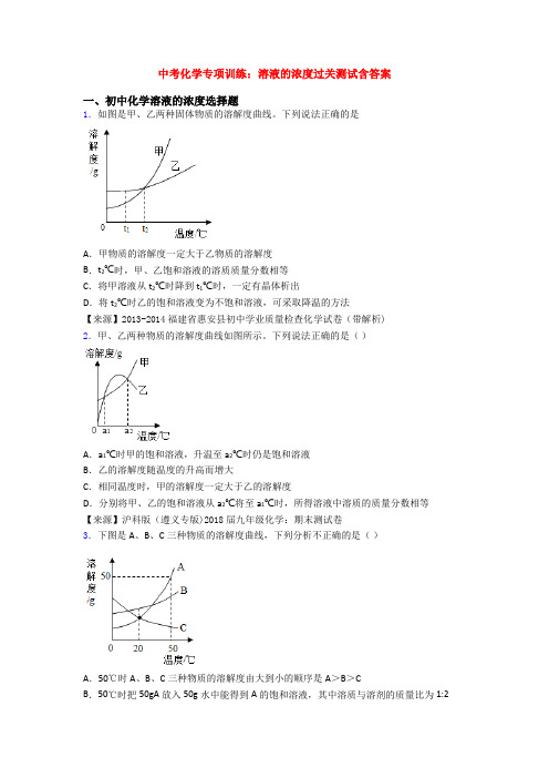 中考化学专项训练：溶液的浓度过关测试含答案