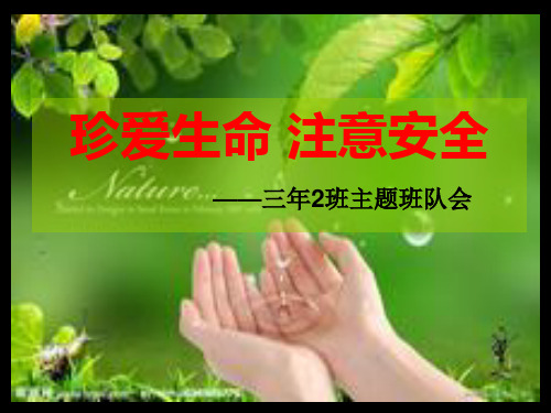 珍爱生命 注意安全PPT课件