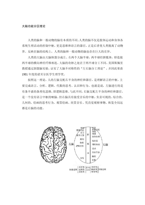 大脑功能分区理论[整理]