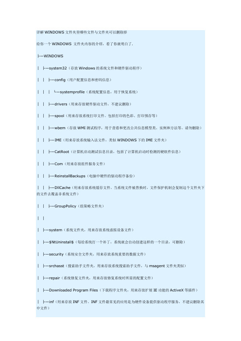 详解WINDOWS文件夹里哪些文件与文件夹可以删除掉