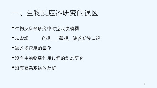 生物反应器时空多尺度复杂系统的理论框架构建课件