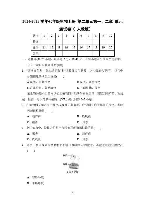 2024-2025学年七年级生物上册 第二单元第一、二章 单元测试卷( 人教版)