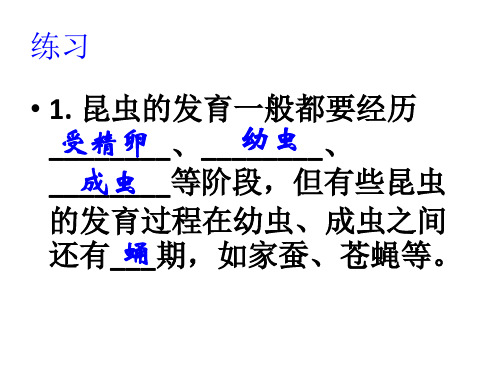 浙教版七年级科学下册-1.3 动物的生长时期 课件