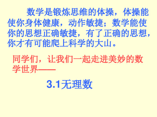 七年级数学无理数课件(教学课件201908)