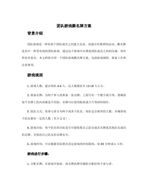 团队游戏撕名牌方案