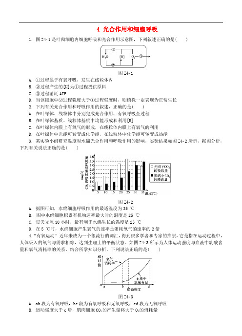 高考生物二轮复习 专题限时集训4 光合作用和细胞呼吸