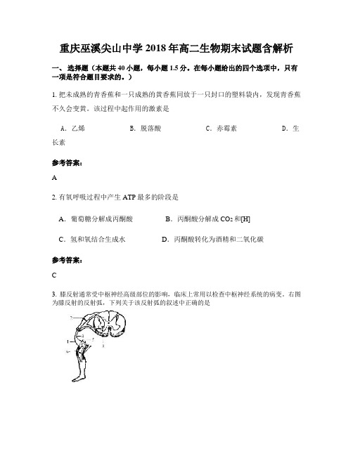 重庆巫溪尖山中学2018年高二生物期末试题含解析