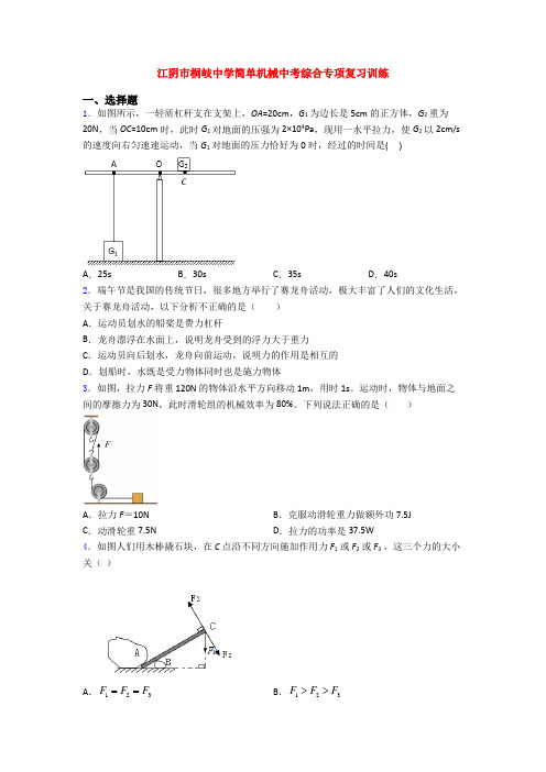 江阴市桐岐中学简单机械中考综合专项复习训练