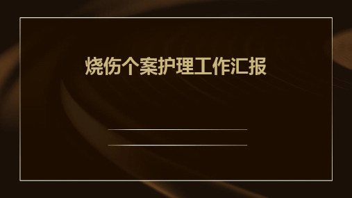 烧伤个案护理工作汇报