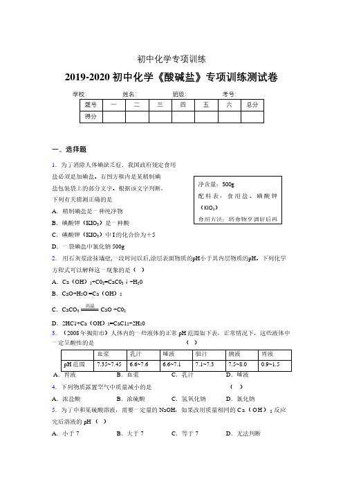 2019-2020学年初中化学《酸碱盐》专项训练模拟测试(含答案) (241)