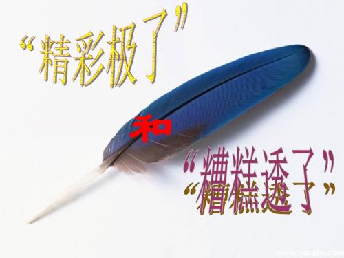 《精彩极了和糟糕透了》教学课件
