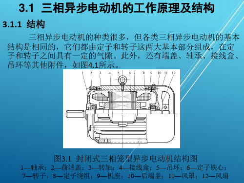 汽车三相异步电动机的工作原理及结构@汽车知识基础