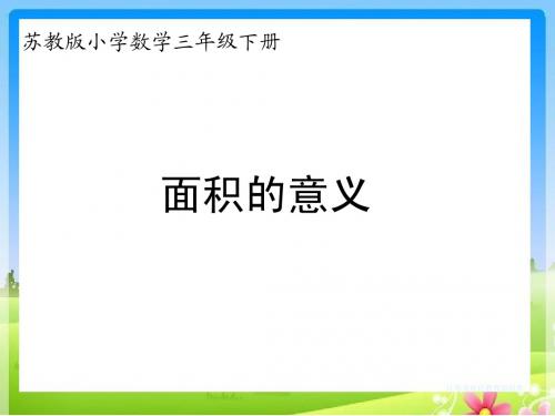 苏教版三下课件---面积的意义