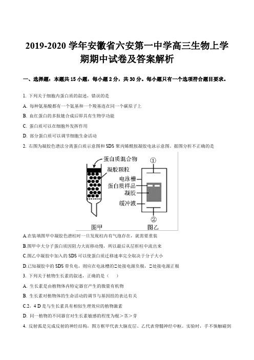 2019-2020学年安徽省六安第一中学高三生物上学期期中试卷及答案解析