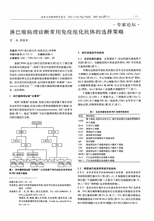 淋巴瘤病理诊断常用免疫组化抗体的选择策略