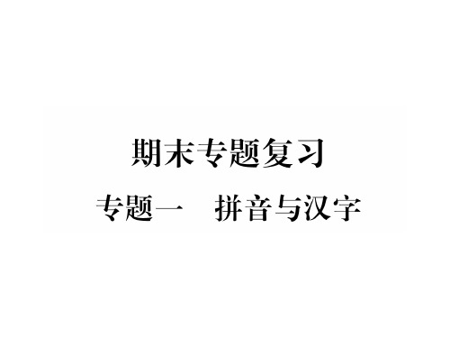 秋人教版八年级语文上册(云南)同步作业课件：专题1 拼音与汉字 (共25张PPT)