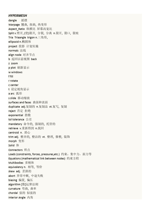 HYPERMESH_词汇
