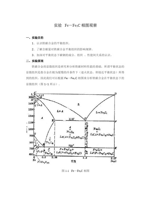 实验 铁碳合金平衡组织观察