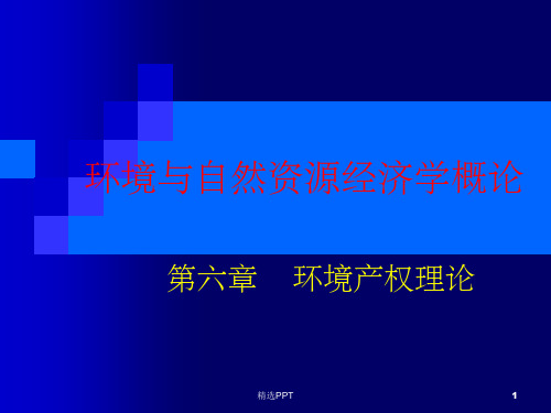 《环境产权理论》PPT课件